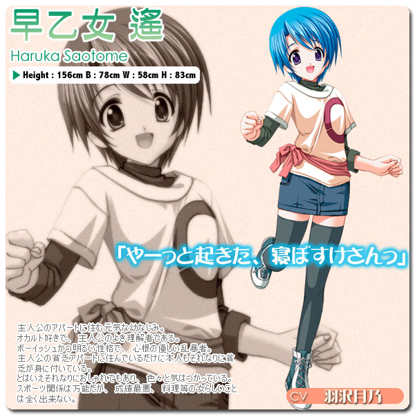 https://ami.animecharactersdatabase.com/./images/hidamari/Haruka_Saotome.jpg