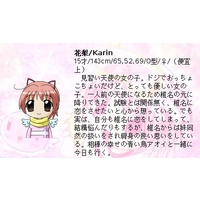 Image of Karin