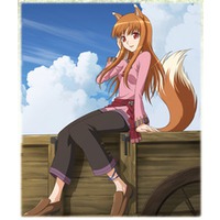 Image of Spice and Wolf II