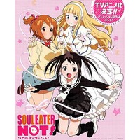 Image of Soul Eater Not!