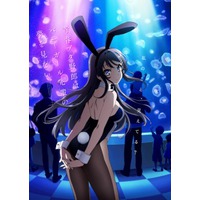 Image of Rascal Does Not Dream of Bunny Girl Senpai