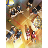 2.43: Seiin High School Boys Volleyball Team