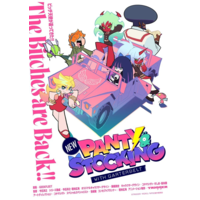 Image of New PANTY & STOCKING with GARTERBELT