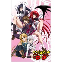 Quotes from High School DxD