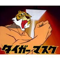 Tiger Mask Image