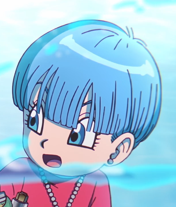 Bulma Briefs (adult)