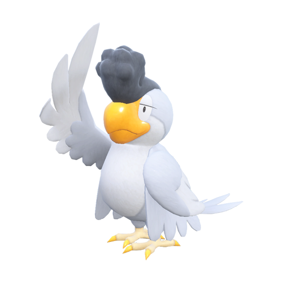 Squawkabilly (white)