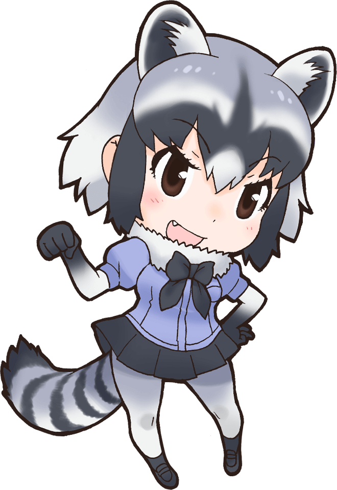 Raccoon