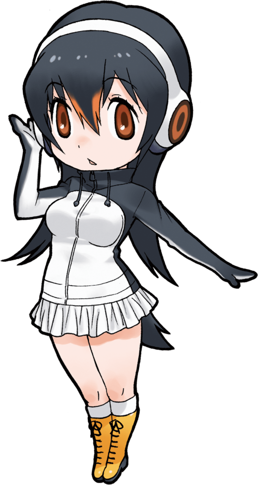 Gentoo Penguin