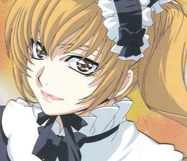 The Western Princess
