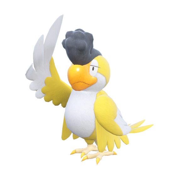 Squawkabilly (yellow)