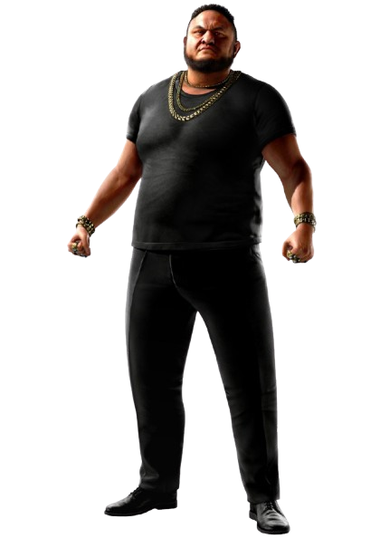 Raymond Law