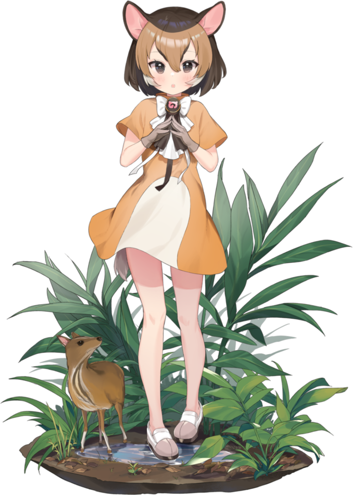 Chevrotain