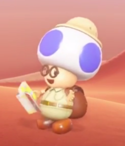 Hint Toad
