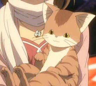 Katsuki Shima (cat form)