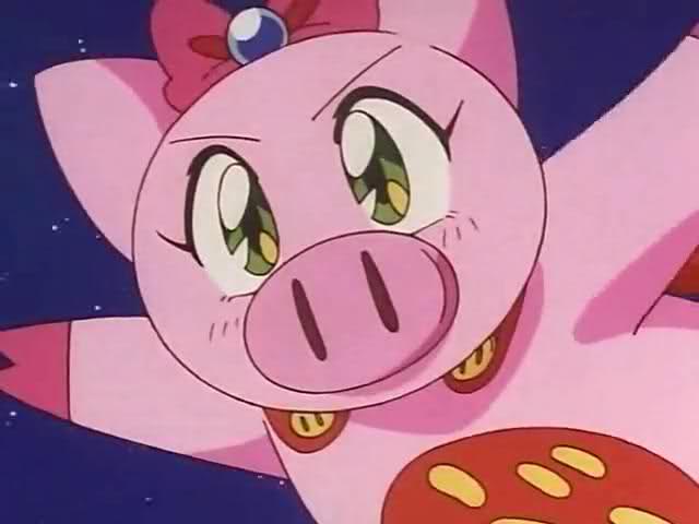Domestic Pig/Season 2 - Japari Library, the Kemono Friends Wiki