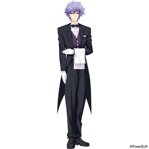 Ryuuji Saotome from Kimi o Aogi Otome wa Hime ni