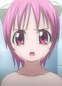 Elfen Lied, Wiki