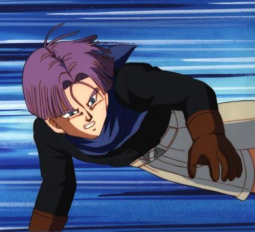 Trunks Brief (adult)