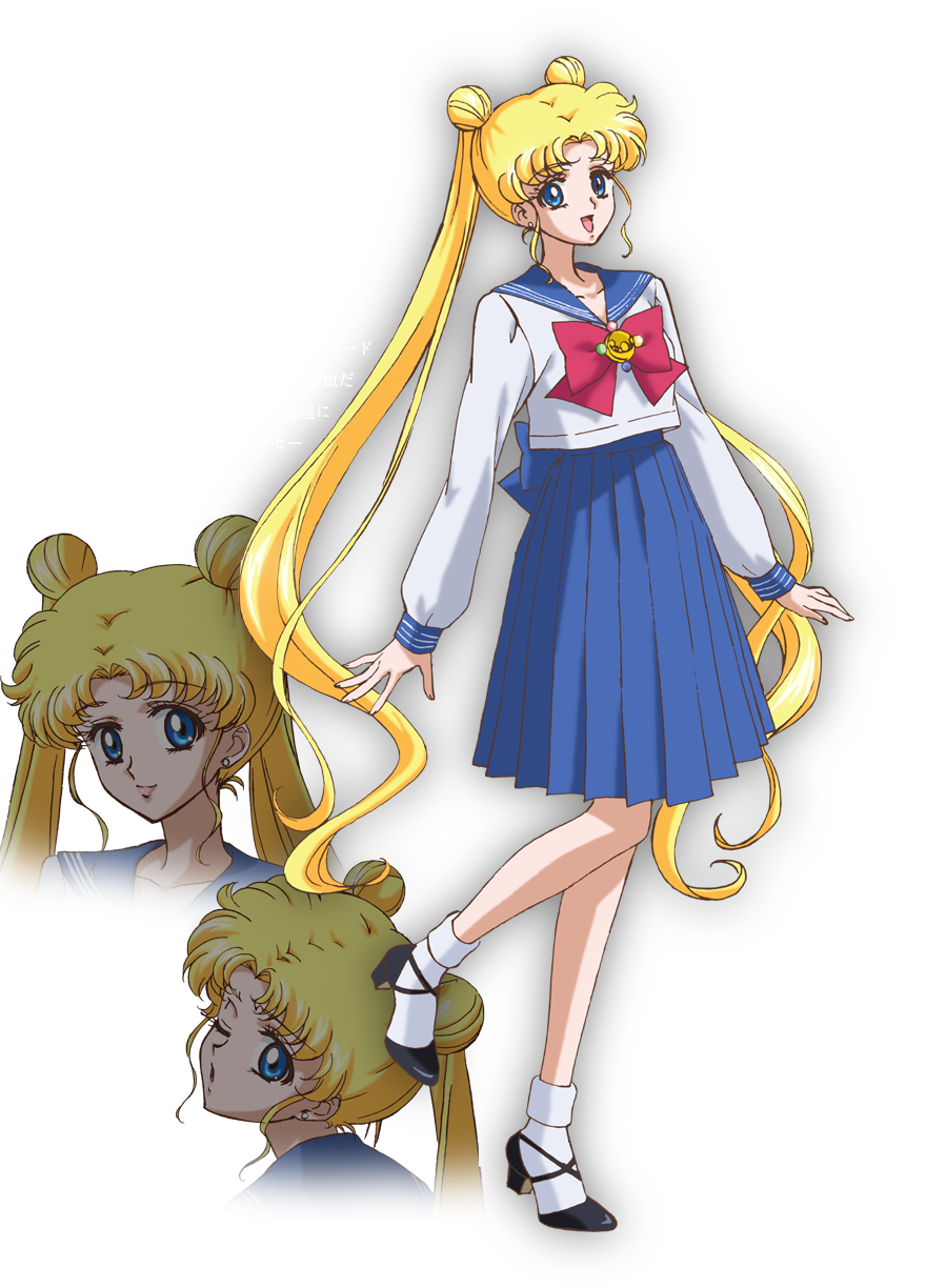 Serena Tsukino SSR Sailor Moon Waifu Card NM Usagi Tsukino