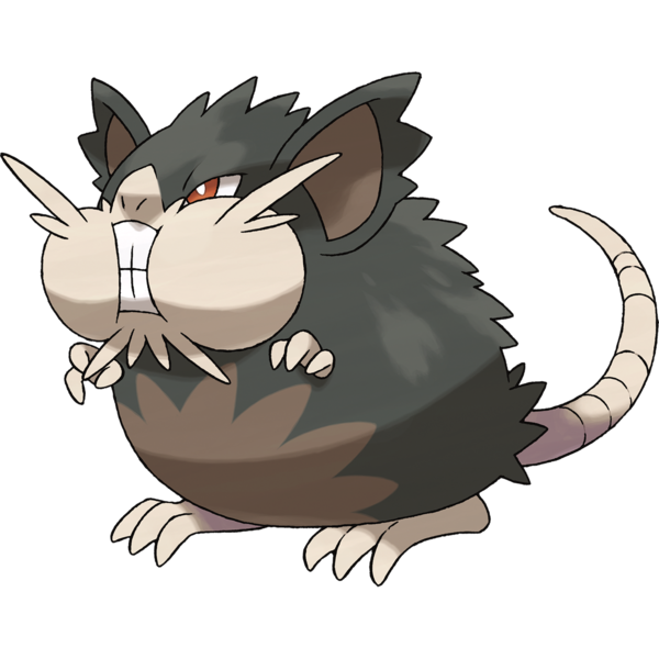 Alolan Raticate