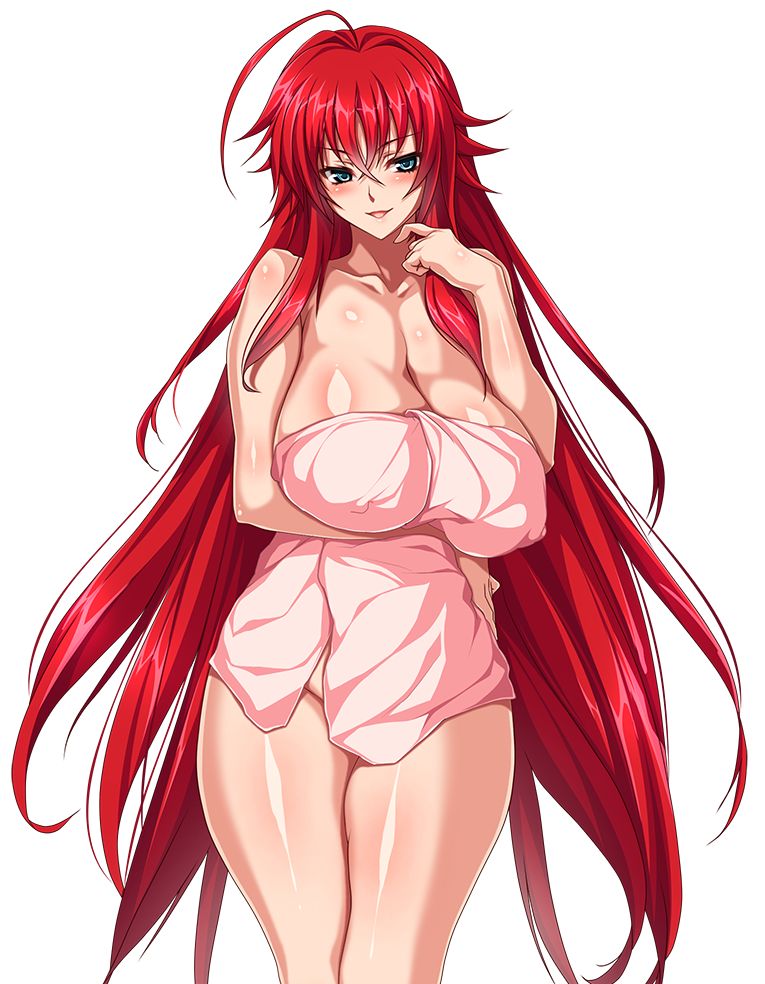 Rias Gremory From High School Dxd