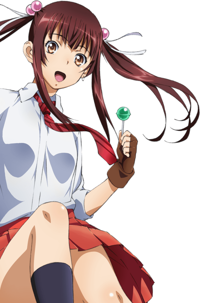 Chuubou Sonken (true), Ikkitousen Wiki