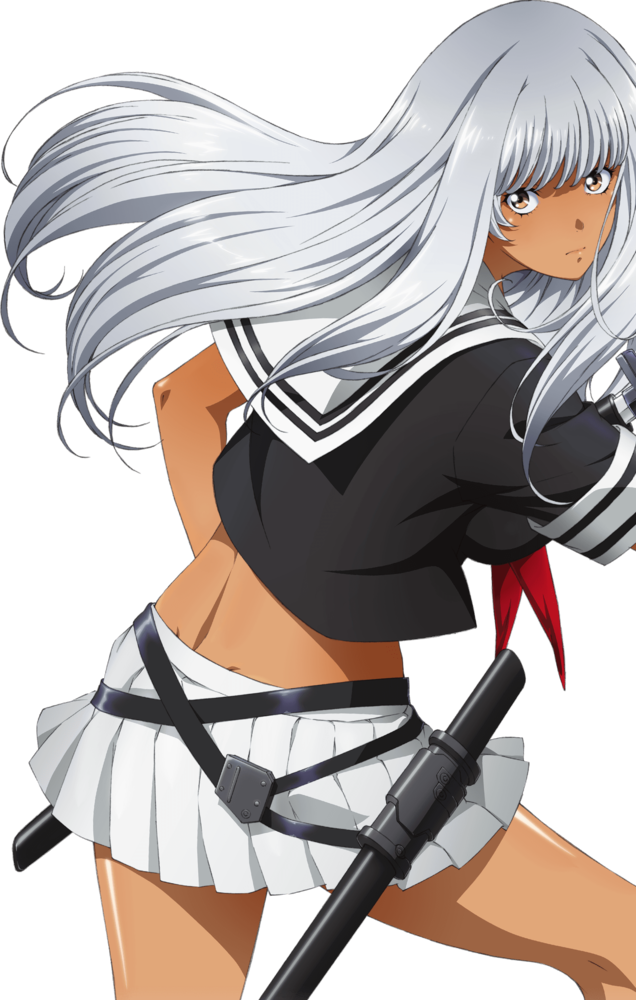 Asaemon Yamada, Ikkitousen Wiki