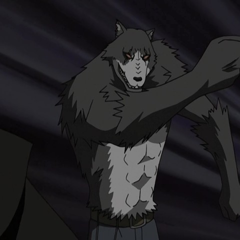 Top 15 Anime Wolf Characters Howling in the Night  MyAnimeListnet