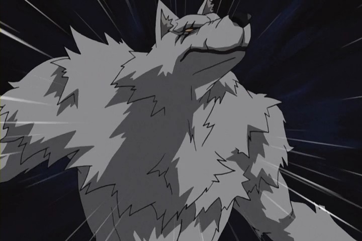 Anime Werewolves Amv