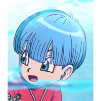 Image of Bulma Briefs (adult)