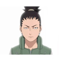 Profile Picture for Shikamaru Nara
