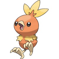 Image of Torchic