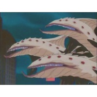 Image of Hydra Eel