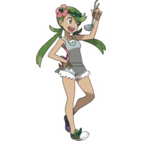 Image of Mallow