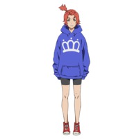 Image Missing
