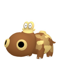 Image of Hippopotas