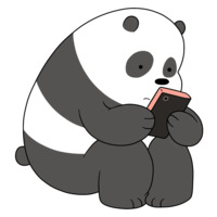 Image of Baby Panda