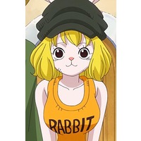 Profile Picture for Carrot