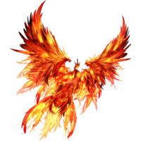 Profile Picture for Phoenix