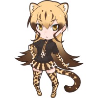 Image of King Cheetah
