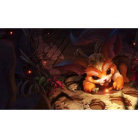 Image of Gnar