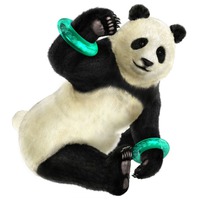 Image of Panda