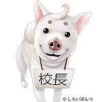 Profile Picture for Kouchou-sensei
