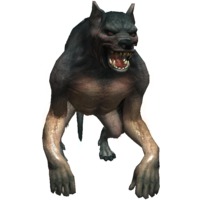 Image of Vincent Meis (Werewolf)