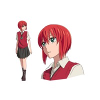 Mahoutsukai No Yome, Wiki