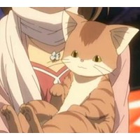 Image of Katsuki Shima (cat form)