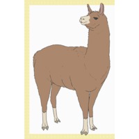 Image of Llama