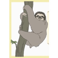 Image of Sloth