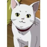 Image of Ouji's Cat